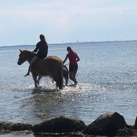 Kopendorf * Bojendorf