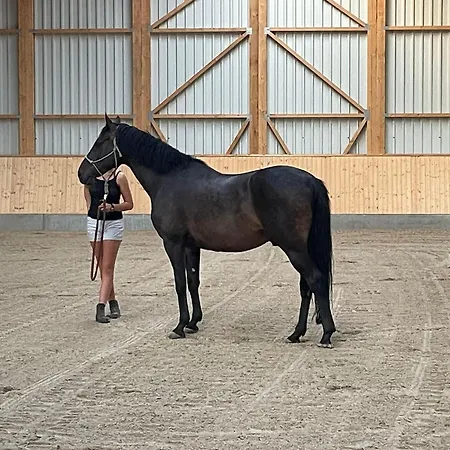 Kopendorf Prázdninový dům